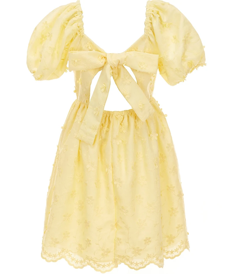 Rare Editions Big Girls Puff-Sleeve Three-Dimensional Floral-Embroidered Appliqued Fit-And-Flare Dress