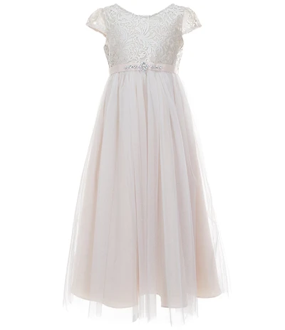 Rare Editions Big Girls Short-Sleeve Embroidered-Bodice Mesh-Overlay-Skirted Dress