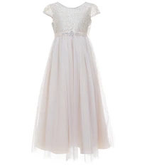 Rare Editions Big Girls Short-Sleeve Embroidered-Bodice Mesh-Overlay-Skirted Dress