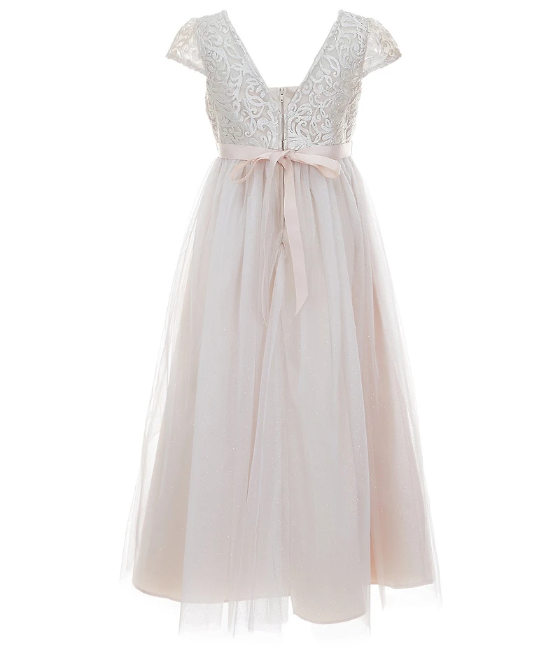 Rare Editions Big Girls Short-Sleeve Embroidered-Bodice Mesh-Overlay-Skirted Dress
