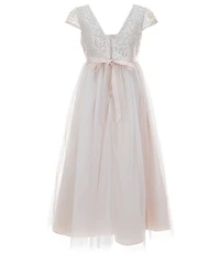 Rare Editions Big Girls Short-Sleeve Embroidered-Bodice Mesh-Overlay-Skirted Dress