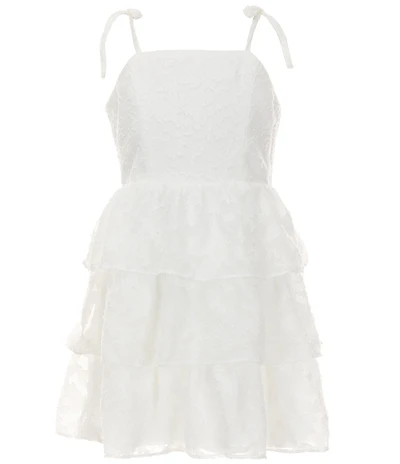 Rare Editions Big Girls Sleeveless Burnout Chiffon Dress