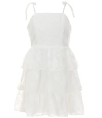 Rare Editions Big Girls Sleeveless Burnout Chiffon Dress
