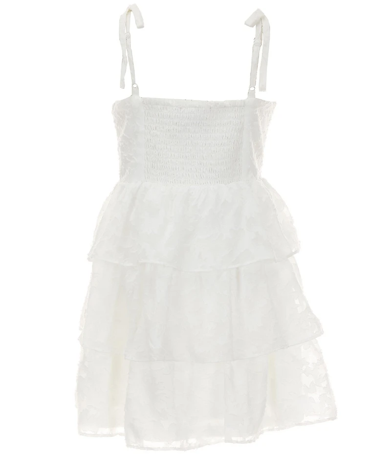 Rare Editions Big Girls Sleeveless Burnout Chiffon Dress