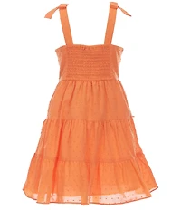 Rare Editions Big Girls Sleeveless Clip-Dot Tiered Dress
