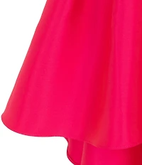 Rare Editions Big Girls Sleeveless Floral-Appliqued-Waist High-Low-Hem Ballgown