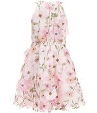 Rare Editions Big Girls Sleeveless Floral-Embroidered-Appliqued Fit-And-Flare Dress