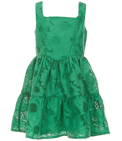 Rare Editions Big Girls Sleeveless Floral-Eyelet-Embroidered Mock-Corset Drop-Waist Dress
