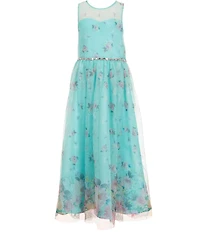 Rare Editions Big Girls Sleeveless Floral Printed Mesh Maxi Dress