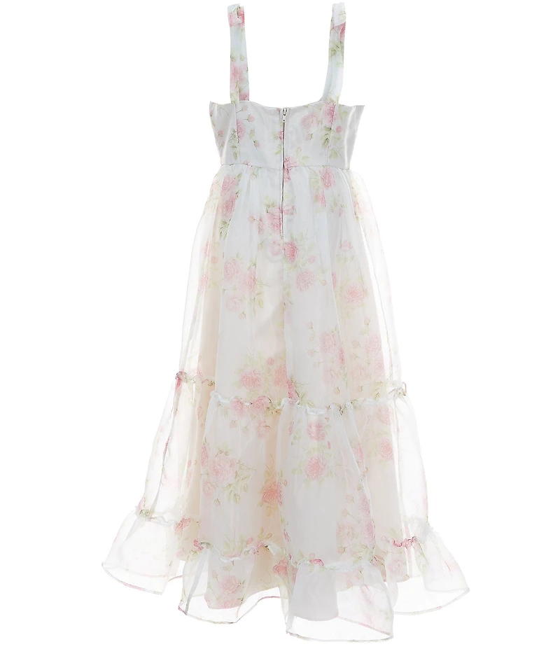 Rare Editions Big Girls Sleeveless Floral-Printed Organza Three-Tier Dress