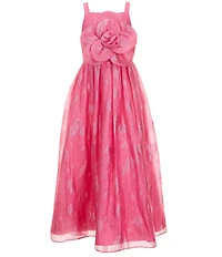 Rare Editions Big Girls Sleeveless Flower-Appliqued Floral-Burnout-Organza Maxi Dress