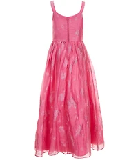 Rare Editions Big Girls Sleeveless Flower-Appliqued Floral-Burnout-Organza Maxi Dress