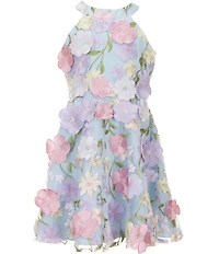 Rare Editions Big Girls Sleeveless Halter-Neck Floral-Embroidered-Appliqued Fit-And-Flare Dress