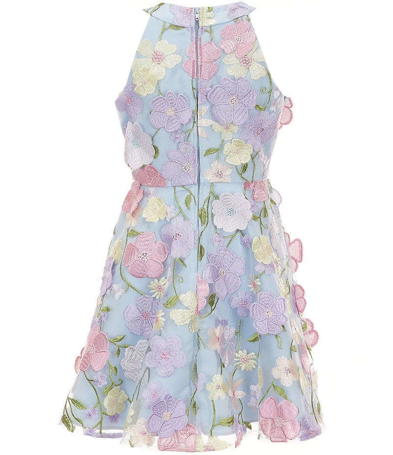 Rare Editions Big Girls Sleeveless Halter-Neck Floral-Embroidered-Appliqued Fit-And-Flare Dress