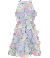 Rare Editions Big Girls Sleeveless Halter-Neck Floral-Embroidered-Appliqued Fit-And-Flare Dress