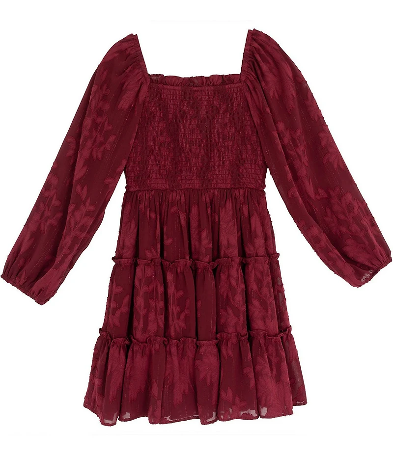 Rare Editions Big Girls Smocked Burnout Chiffon Long Sleeve Dress