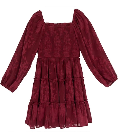 Rare Editions Big Girls Smocked Burnout Chiffon Long Sleeve Dress