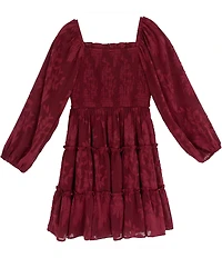 Rare Editions Big Girls Smocked Burnout Chiffon Long Sleeve Dress