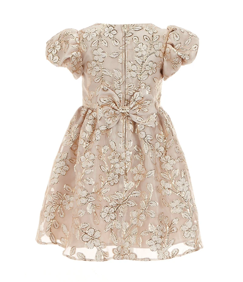 Rare Editions Little Girls Puffed Sleeve Floral Burnout Lurex/Organza Fit & Flare Dress