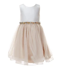 Rare Editions Little Girls Sleeveless Color Block Mikado Beaded Trim Fit & Flare Dress