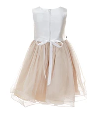 Rare Editions Little Girls Sleeveless Color Block Mikado Beaded Trim Fit & Flare Dress