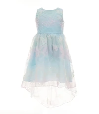 Rare Editions Little Girls Butterfly-Soutache Lace High-Low-Hem Dress