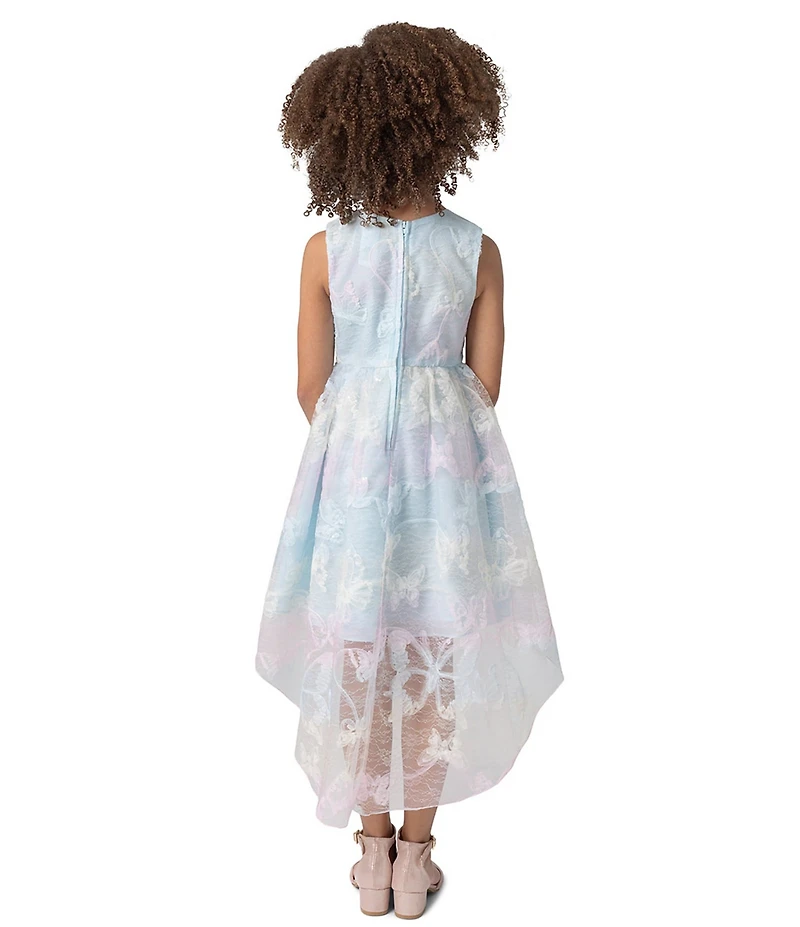 Rare Editions Little Girls Butterfly-Soutache Lace High-Low-Hem Dress