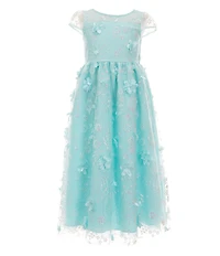 Rare Editions Little Girls Cap-Sleeve Glitter-Accented Soutache-Embroidered Mesh Fit & Flare Dress