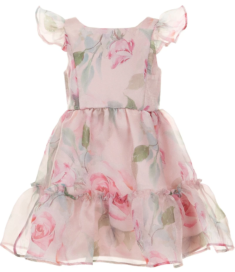 Rare Editions Little Girls Flutter-Sleeve Floral-Printed Organza Fit-And-Flare Dress
