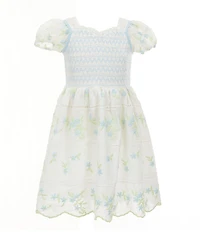 Rare Editions Little Girls Puffed-Sleeve Embroidered Clip-Dot Fit-And-Flare Dress