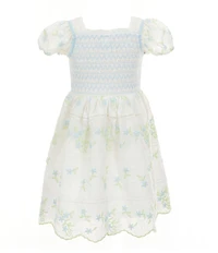 Rare Editions Little Girls Puffed-Sleeve Embroidered Clip-Dot Fit-And-Flare Dress