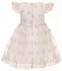 Rare Editions Little Girls Flutter-Sleeve Floral-Embroidered Mesh Fit-And-Flare Dress