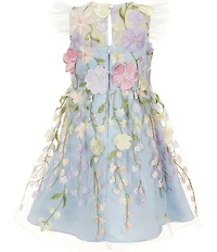 Rare Editions Little Girls Flutter Sleeve Floral Embroidered Mesh Fit-And-Flare Dress