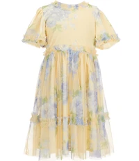 Rare Editions Little Girls Short-Sleeve Mock-Neck Floral-Printed-Mesh Fit-And-Flare Tiered Dress