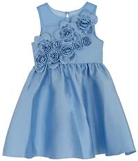 Rare Editions Little Girls Illusion-Mesh-Yoke Rosette-Appliqued Mikado Fit-And-Flare Dress