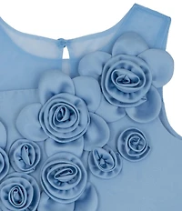 Rare Editions Little Girls Illusion-Mesh-Yoke Rosette-Appliqued Mikado Fit-And-Flare Dress