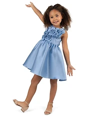 Rare Editions Little Girls Illusion-Mesh-Yoke Rosette-Appliqued Mikado Fit-And-Flare Dress