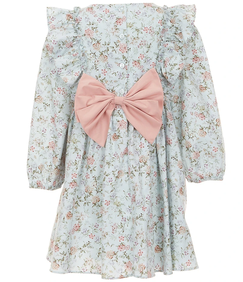 Rare Editions Little Girls Long Sleeve Floral Embroidered Smocked Dress