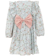 Rare Editions Little Girls Long Sleeve Floral Embroidered Smocked Dress