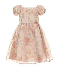 Rare Editions Little Girls Puffed-Sleeve Floral Organza Fit-And-Flare Dress