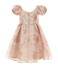 Rare Editions Little Girls Puffed-Sleeve Floral Organza Fit-And-Flare Dress