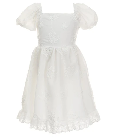 Rare Editions Little Girls Puffed Sleeve Three Dimensional Embroidered Fit-And-Flare Dress