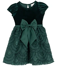 Rare Editions Little Girls Puffed-Sleeve Velvet-Bodice/Soutache-Embroidered-Skirted Fit-And-Flare Dress
