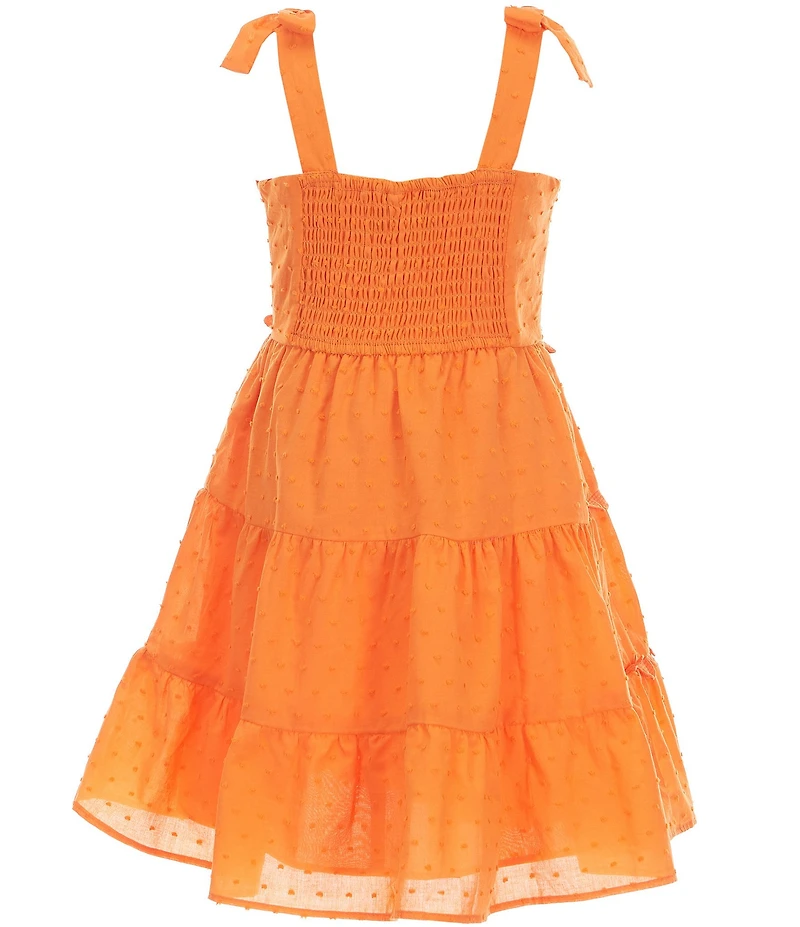 Rare Editions Little Girls Sleeveless Clip-Dot Novelty-Trimmed Dress