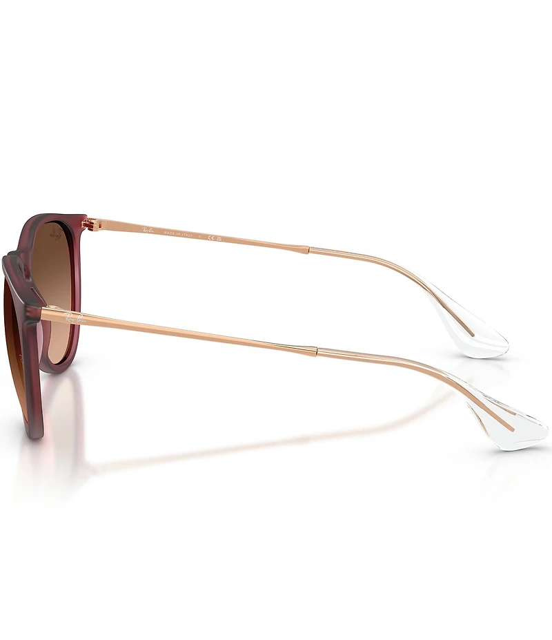 Ray-Ban Women's RB4171 Erika 54mm Round Sunglasses