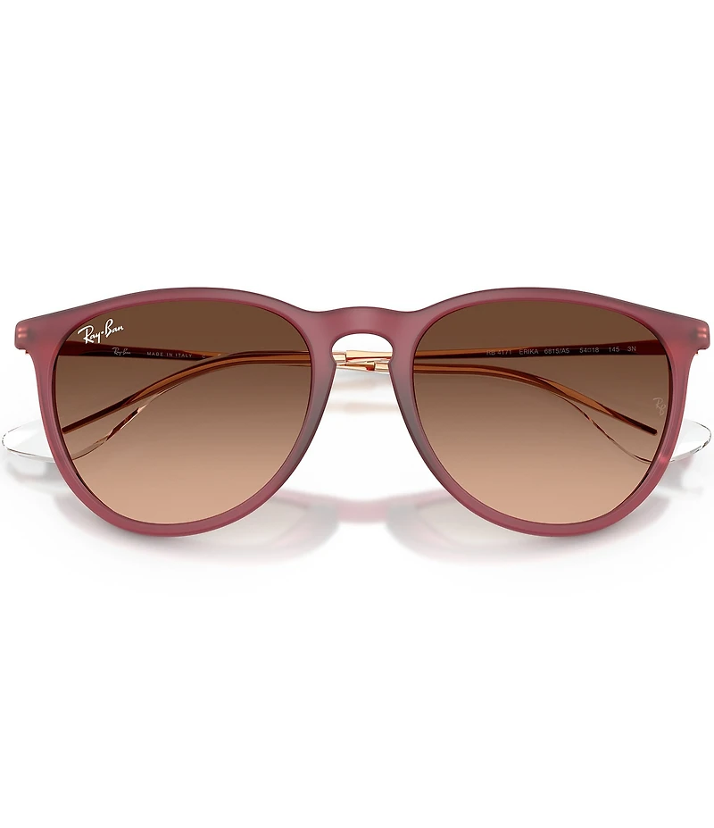 Ray-Ban Women's RB4171 Erika 54mm Round Sunglasses