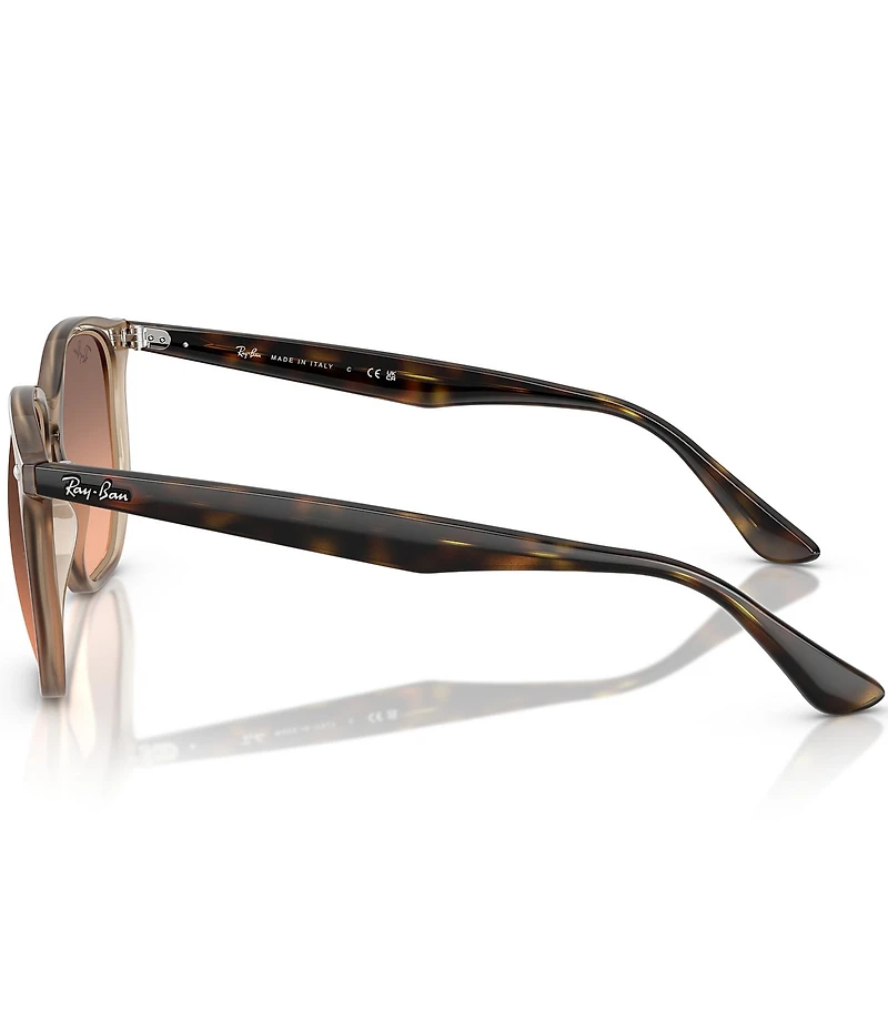 Ray-Ban Men's RB4306 54mm Irregular Sunglasses