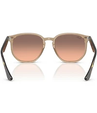 Ray-Ban Men's RB4306 54mm Irregular Sunglasses