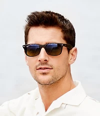 Ray-Ban Polarized New Wayfarer Sunglasses