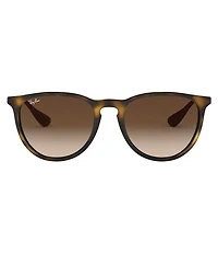 Ray-Ban The Erika Classic Sunglasses